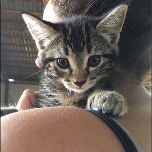 Meet your Posher, Samantha